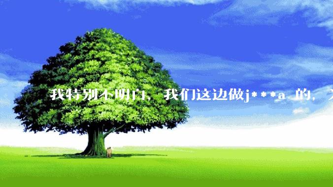 我特别不明白，我们这边做j***a 的，为什么要用windows 做server？
