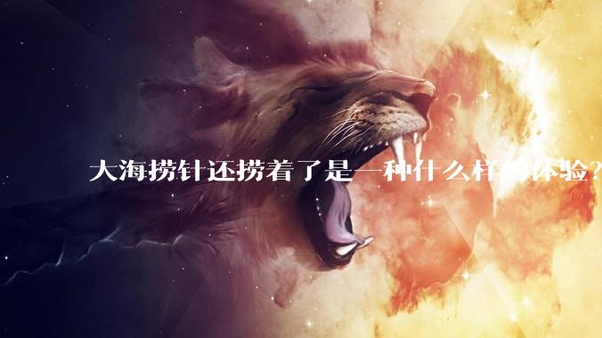 大海捞针还捞着了是一种什么样的体验？
