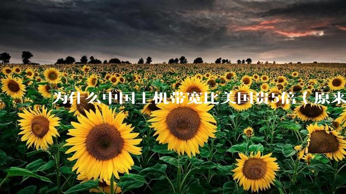 为什么中国主机带宽比美国贵5倍（原来错误的10000倍），比如阿里云？