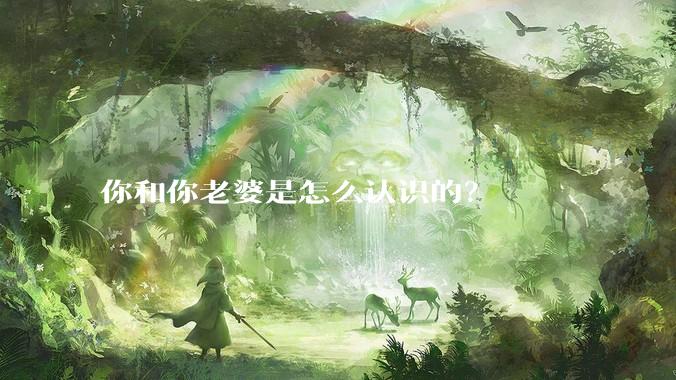 你和你老婆是怎么认识的？