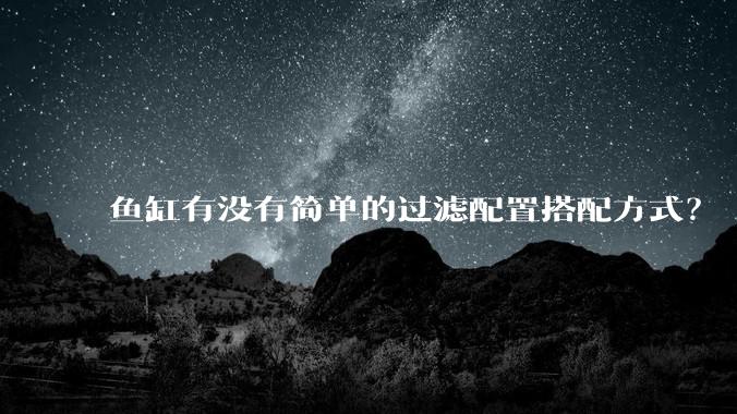 鱼缸有没有简单的过滤配置搭配方式？