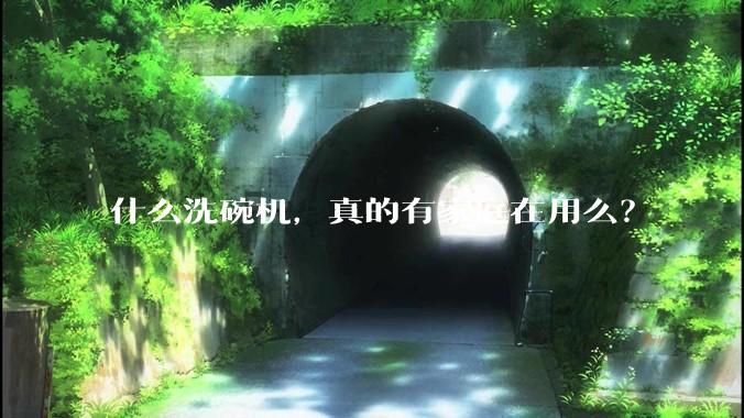 什么洗碗机，真的有家庭在用么？